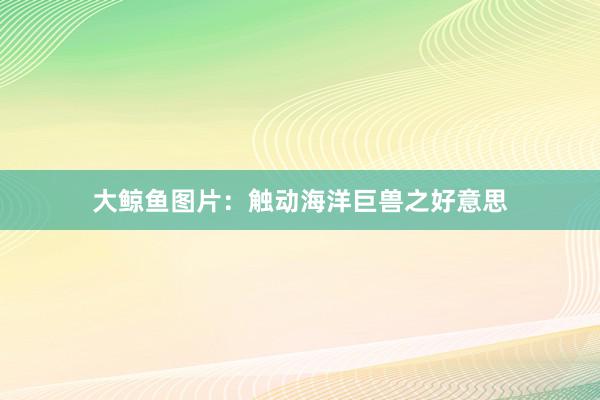 大鲸鱼图片：触动海洋巨兽之好意思